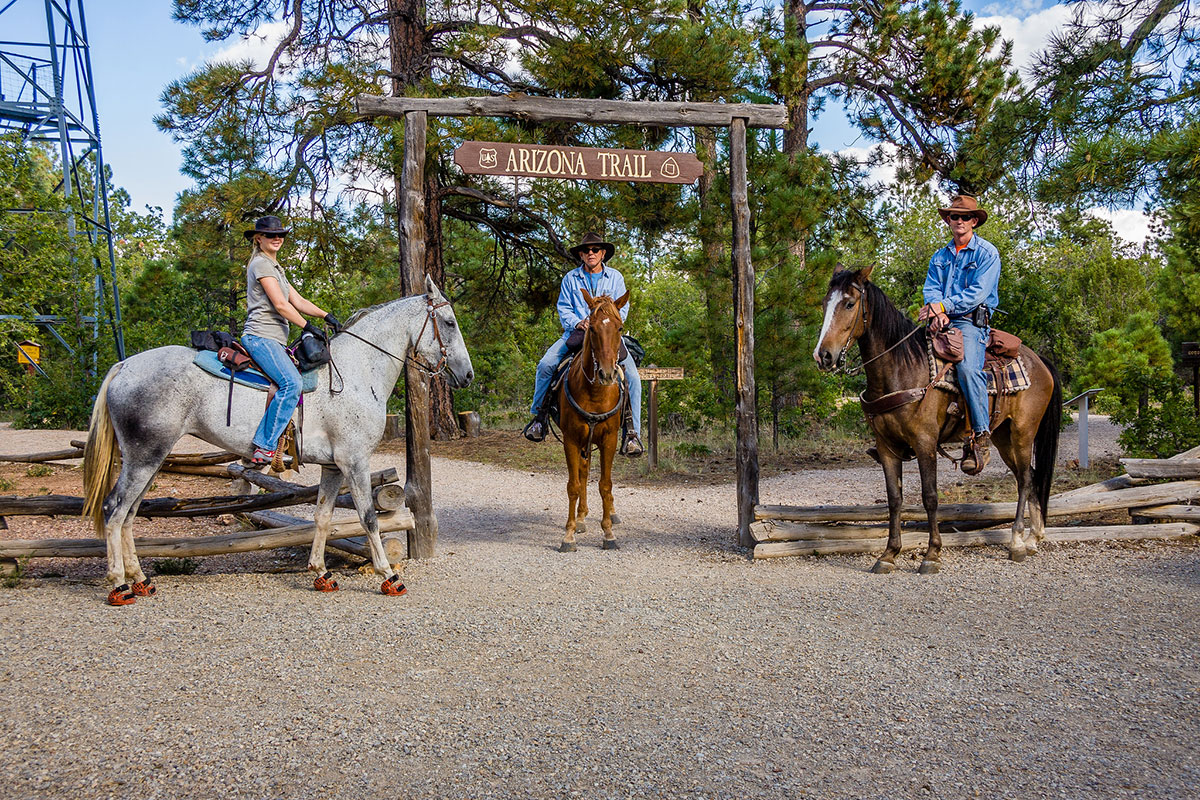 Horses on the Arizona Trail.