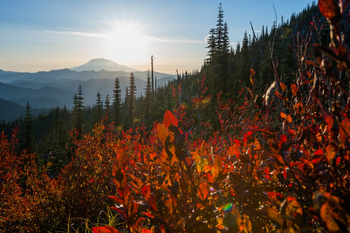 mount saint helens