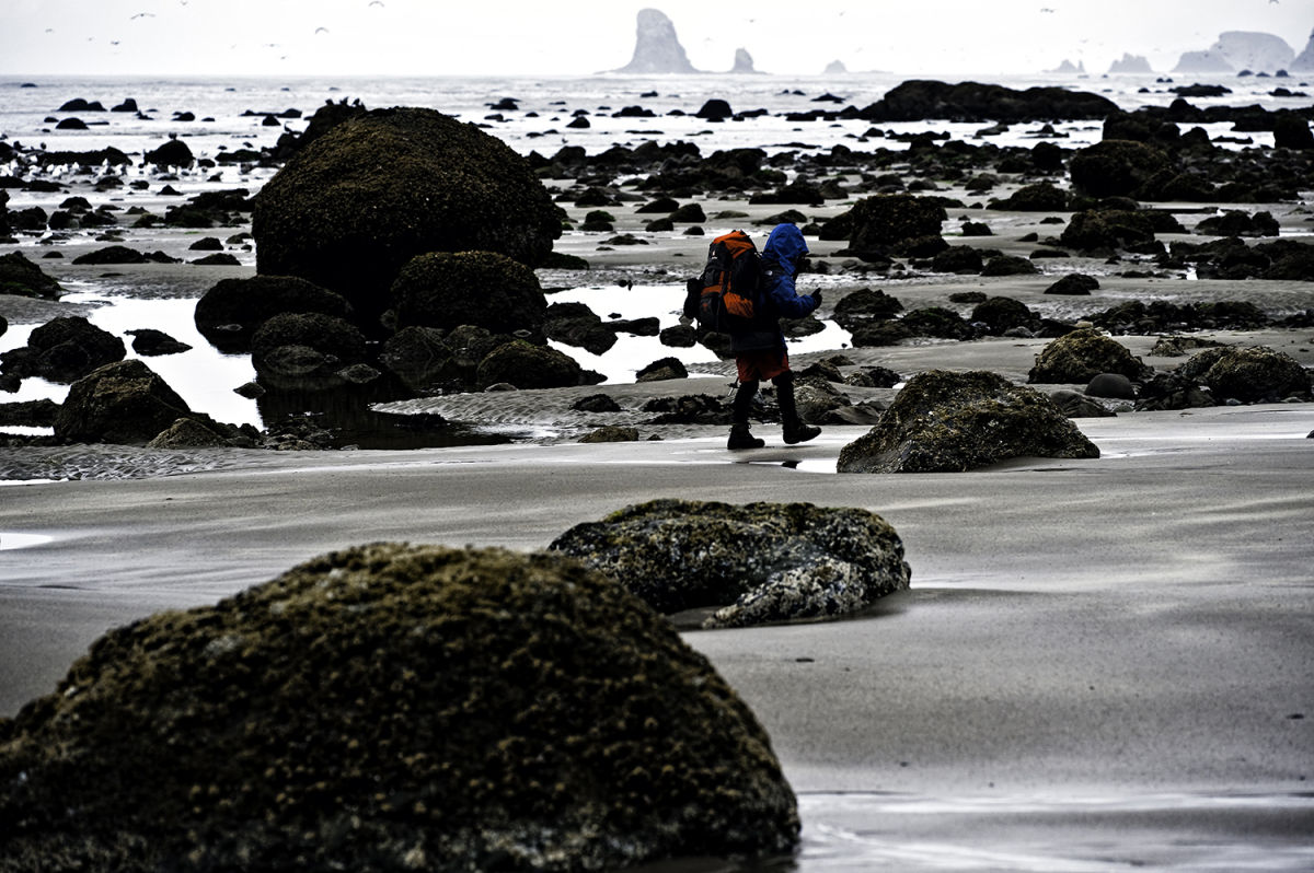 Olympic Coast