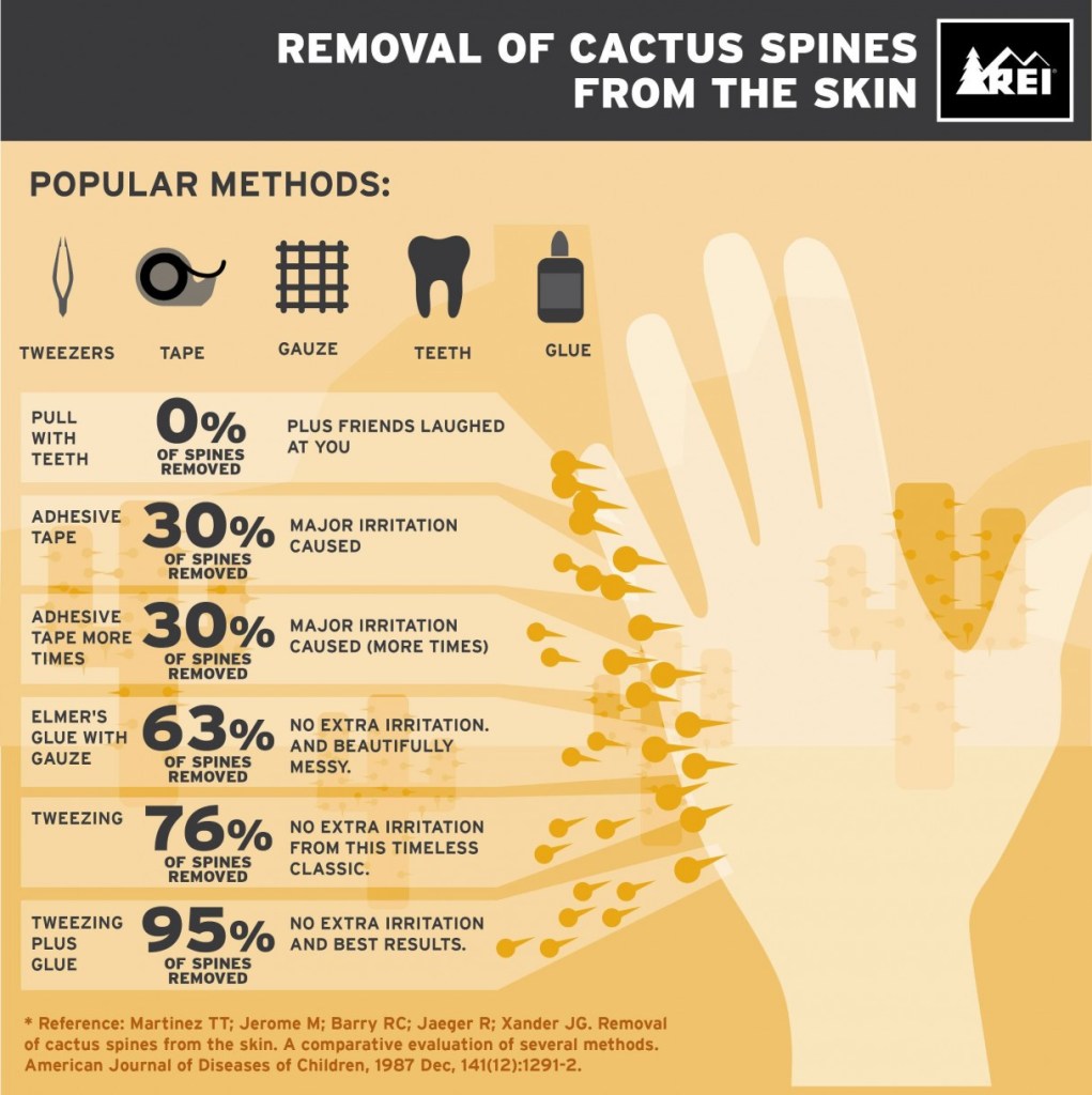 Removal of Cactus Spines from the Skin