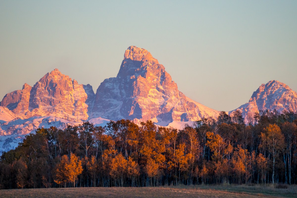 Teton