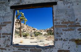 Wall Street Mill, Joshua Tree