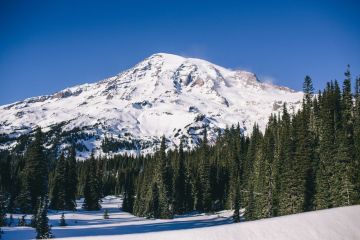 Mt Rainier