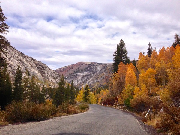 California Fall Foliage