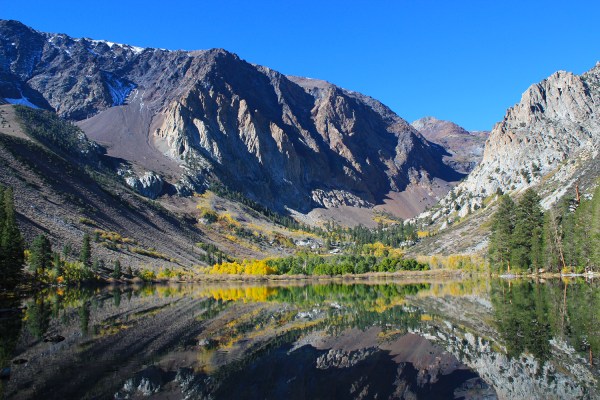 California Fall Foliage