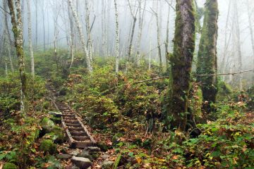 Fall Hike