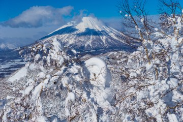 Make Japan Your Next Powder Destination