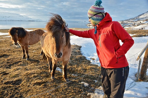 Iceland’s Troll Peninsula