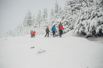 Winter Snow Shoeing