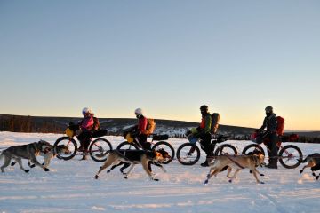 Winter Biking in the Arctic