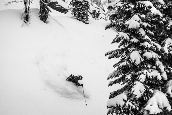 Montana Skiing