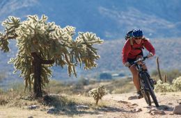 Tucson Mountain Biking