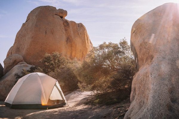 Joshua Tree Campground