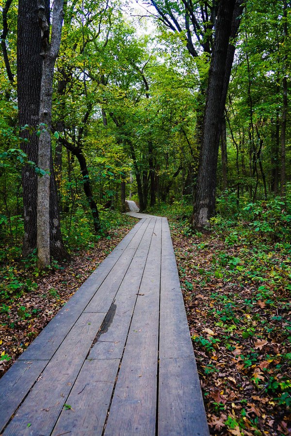 Starved Rock