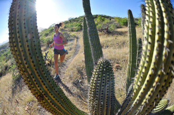 Baja Trail Running