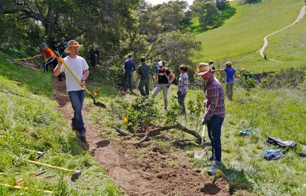 Teens Volunteer