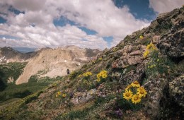 Mount Columbia