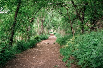 Violet Crown Trail