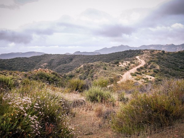 Every Trail Connects