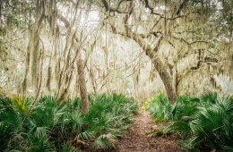 Every Trail Connects