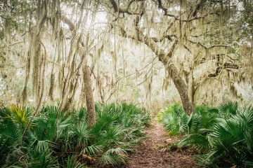 Every Trail Connects