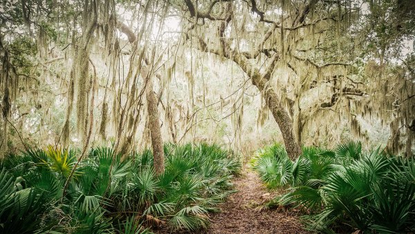 Every Trail Connects