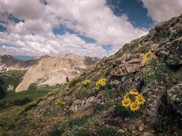 Every Trail Connects