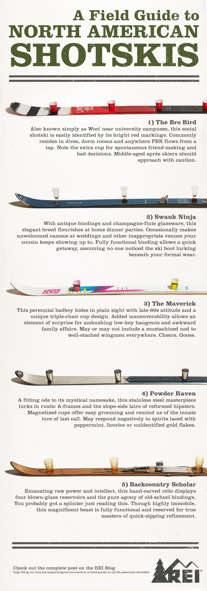 REI-shotski-infographic