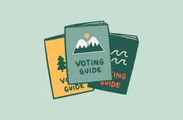 Here are Voting Guides to Help You Prep for the November Election 