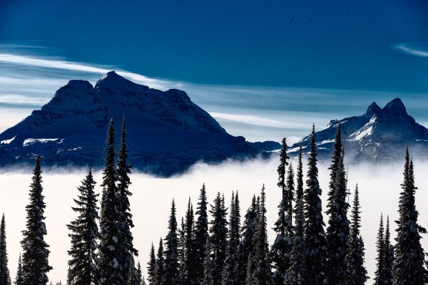 Revelstoke Landscape