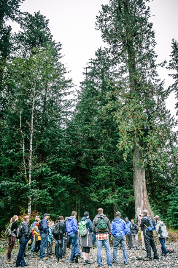 Middle Fork Trail