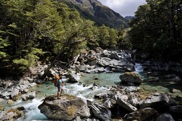 New Zealand Trekking