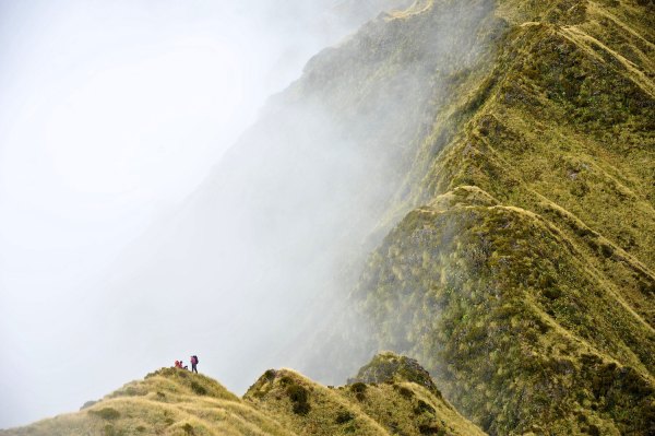 New Zealand Trekking