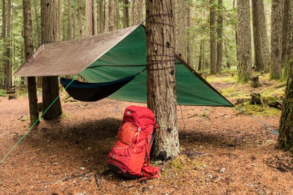 Tarp Tips
