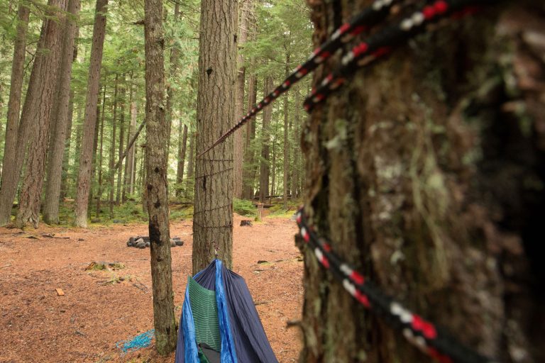 Tarp Tips