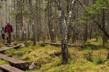 Katahdin