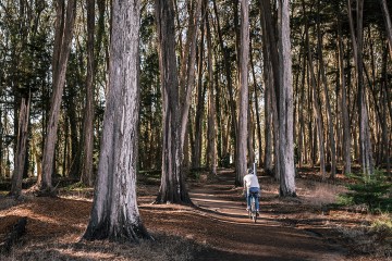 The Environment Needs to Speak to You