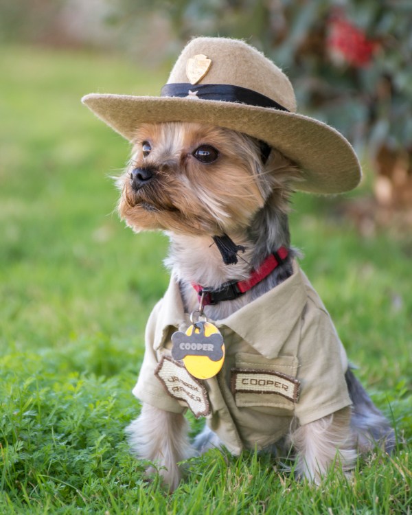 Dogs in National Parks