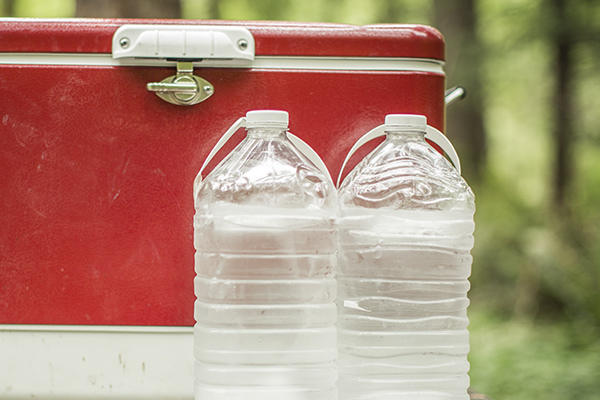 Frozen Water bottles