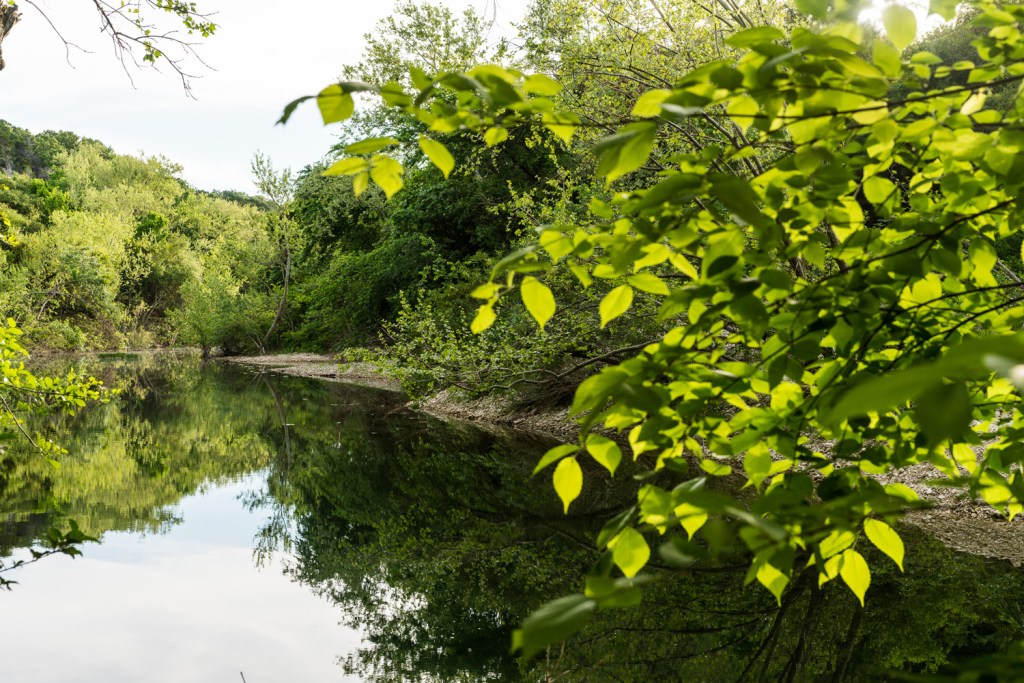 Violet Crown Trail