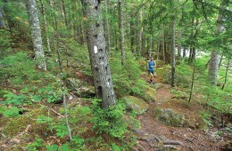 Ultrarunner Scott Jurek: Returning to the Roots