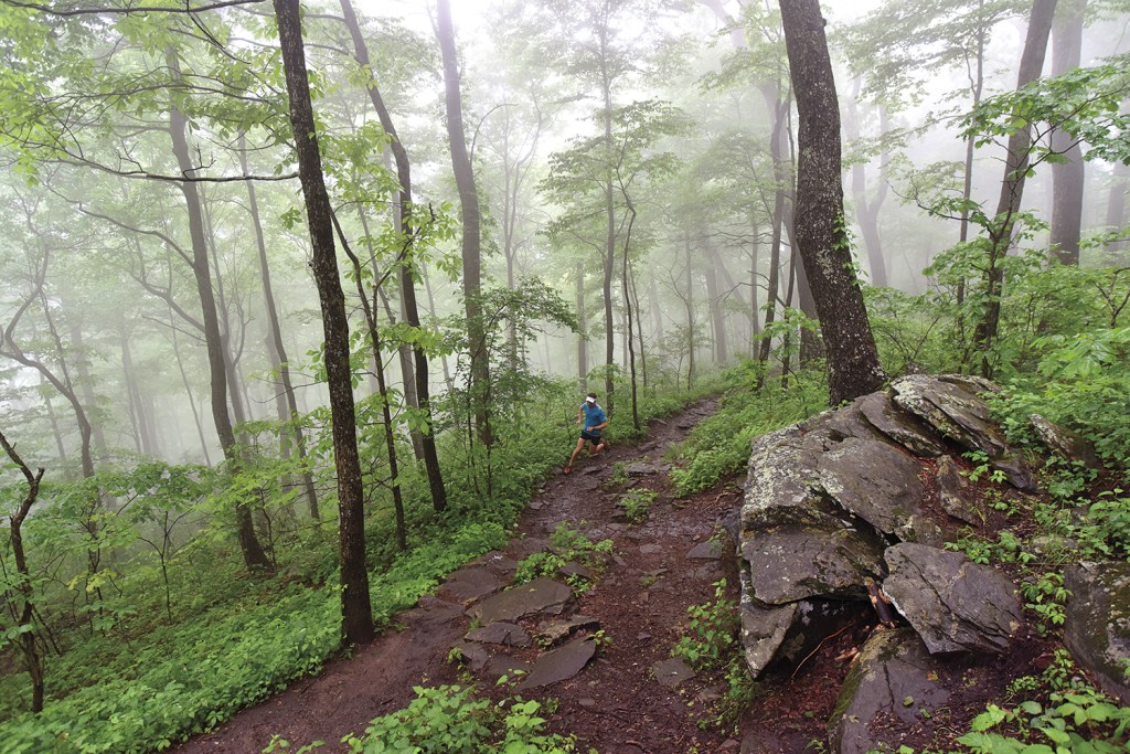 Scott Jurek