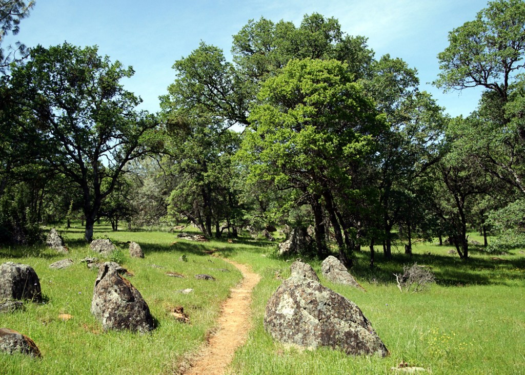 Public Land Trust