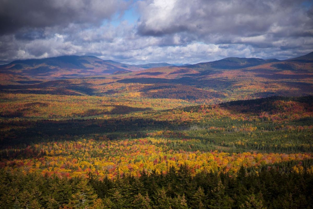 Photo of a landscape along the Appalachian Trail.