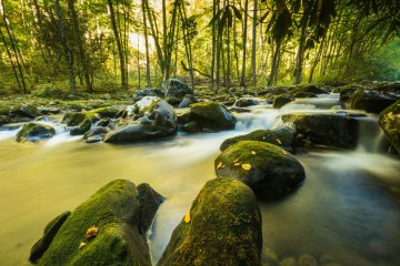 hiking in north carolina