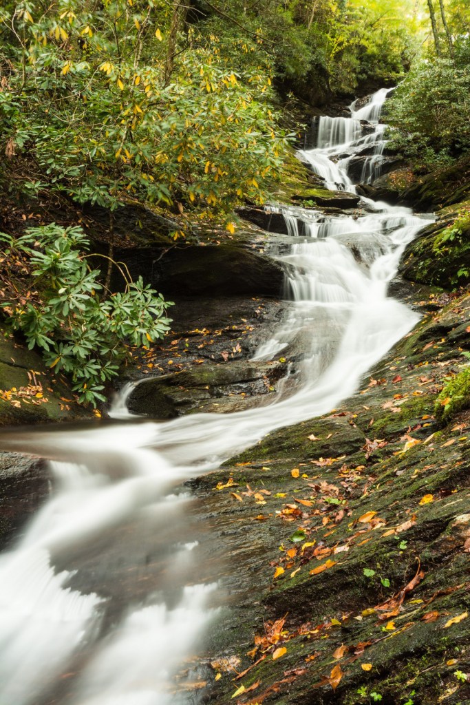 Pisgah National Forest