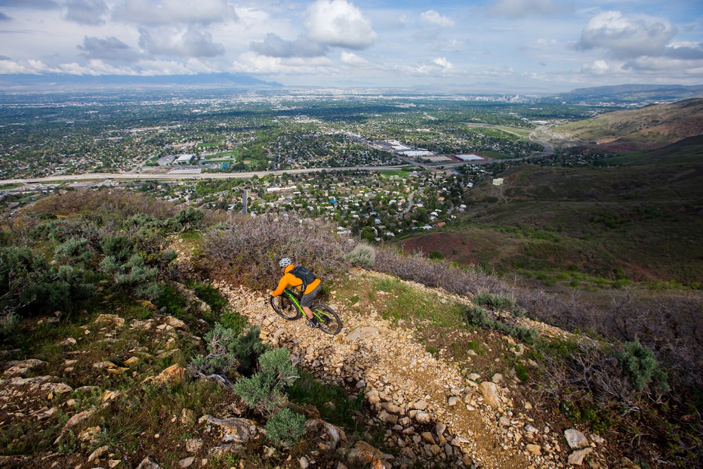 The Trust for Public Land