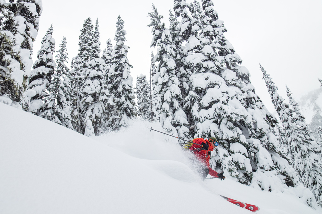 skier shredding through powder 