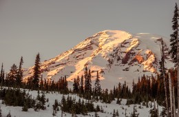 Mt Rainier