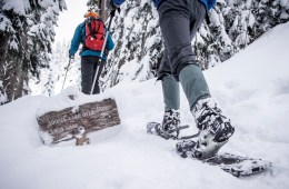 two snowshoers on the trail